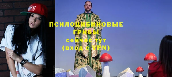 эйфоретик Алексин