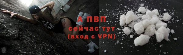 молекула духа Липки