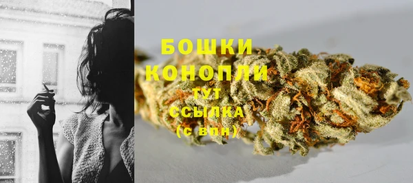 молекула духа Липки